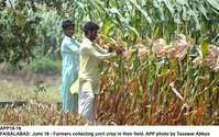 Filename=APP18-16Faisalabad~2.jpg
Filesize=251KiB
Dimensions=1200x755
Date added=Jun 16, 2020 APP18-16Faisalabad~2.jpg