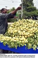 Filename=APP18-19Faisalabad~0.jpg
Filesize=302KiB
Dimensions=850x1298
Date added=Apr 19, 2020 APP18-19Faisalabad~0.jpg