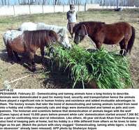 Filename=APP18-22Peshawar.jpg
Filesize=466KiB
Dimensions=1200x1126
Date added=Feb 22, 2019 APP18-22Peshawar.jpg