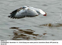 Filename=APP21-14Hyderabad~0.jpg
Filesize=147KiB
Dimensions=1200x869
Date added=Nov 14, 2019 APP21-14Hyderabad~0.jpg