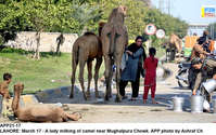 Filename=APP21-17Lahore~0.jpg
Filesize=312KiB
Dimensions=1200x753
Date added=Mar 17, 2020 APP21-17Lahore~0.jpg