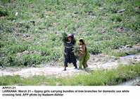Filename=APP21-21Larkana~1.jpg
Filesize=295KiB
Dimensions=1200x851
Date added=Mar 21, 2020 APP21-21Larkana~1.jpg