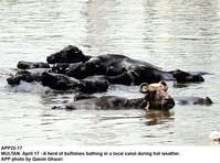 Filename=APP22-17Multan.jpg
Filesize=186KiB
Dimensions=1000x743
Date added=Apr 17, 2018 APP22-17Multan.jpg