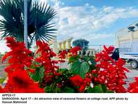 Filename=APP23-17Sargodha~0.jpg
Filesize=161KiB
Dimensions=1200x911
Date added=Apr 17, 2020 APP23-17Sargodha~0.jpg