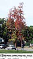Filename=APP24-04Islamabad.jpg
Filesize=210KiB
Dimensions=569x1000
Date added=Apr 04, 2018 APP24-04Islamabad.jpg