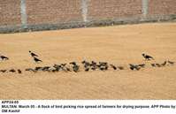 Filename=APP24-05Multan~0.jpg
Filesize=254KiB
Dimensions=1200x777
Date added=Mar 05, 2020 APP24-05Multan~0.jpg