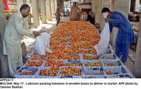 Filename=APP24-17Multan~4.jpg
Filesize=302KiB
Dimensions=1200x759
Date added=May 17, 2020 APP24-17Multan~4.jpg