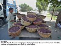 Filename=APP24-26Multan~8.jpg
Filesize=272KiB
Dimensions=1200x913
Date added=May 26, 2020 APP24-26Multan~8.jpg