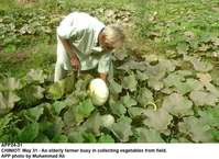 Filename=APP24-31Chiniot.jpg
Filesize=268KiB
Dimensions=1200x875
Date added=May 31, 2020 APP24-31Chiniot.jpg