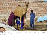 Filename=APP25-05Multan~1.jpg
Filesize=250KiB
Dimensions=1200x897
Date added=Mar 05, 2020 APP25-05Multan~1.jpg