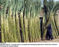 Filename=APP25-17Multan.jpg
Filesize=309KiB
Dimensions=1000x792
Date added=Apr 17, 2018 APP25-17Multan.jpg