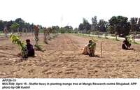 Filename=APP26-15Multan.jpg
Filesize=194KiB
Dimensions=1000x646
Date added=Apr 15, 2018 APP26-15Multan.jpg