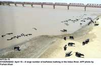 Filename=APP26-19Hyderabad~2.jpg
Filesize=234KiB
Dimensions=1200x789
Date added=Apr 19, 2020 APP26-19Hyderabad~2.jpg