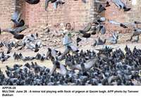 Filename=APP26-28Multan~5.jpg
Filesize=241KiB
Dimensions=1200x835
Date added=Jun 28, 2020 APP26-28Multan~5.jpg