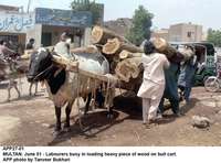 Filename=APP27-01Multan~4.jpg
Filesize=196KiB
Dimensions=1200x890
Date added=Jun 01, 2020 APP27-01Multan~4.jpg