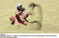 Filename=APP27-17Larkana.jpg
Filesize=346KiB
Dimensions=1200x784
Date added=Mar 17, 2020 APP27-17Larkana.jpg
