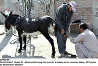 Filename=APP28-09Faislabad~0.jpg
Filesize=253KiB
Dimensions=1200x807
Date added=Mar 09, 2019 APP28-09Faislabad~0.jpg