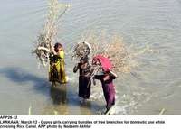 Filename=APP28-12Larkana~0.jpg
Filesize=240KiB
Dimensions=1200x860
Date added=Mar 12, 2020 APP28-12Larkana~0.jpg