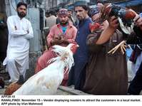 Filename=APP29-15Rawalpindi~0.jpg
Filesize=191KiB
Dimensions=1200x897
Date added=Nov 15, 2019 APP29-15Rawalpindi~0.jpg