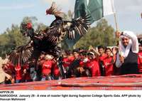 Filename=APP29-29Sargodha.jpg
Filesize=180KiB
Dimensions=1200x853
Date added=Jan 29, 2020 APP29-29Sargodha.jpg