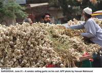 Filename=APP30-01Sargodha.jpg
Filesize=231KiB
Dimensions=1200x863
Date added=Jun 01, 2020 APP30-01Sargodha.jpg
