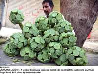 Filename=APP30-10Larkana~0.jpg
Filesize=258KiB
Dimensions=1200x900
Date added=Jun 10, 2020 APP30-10Larkana~0.jpg