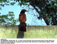 Filename=APP30-19Islamabad~1.jpg
Filesize=259KiB
Dimensions=1200x916
Date added=Sep 19, 2019 APP30-19Islamabad~1.jpg