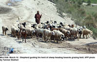Filename=APP31-14Multan~1.jpg
Filesize=308KiB
Dimensions=1200x772
Date added=Mar 14, 2020 APP31-14Multan~1.jpg