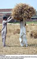 Filename=APP31-19Lahore.jpg
Filesize=250KiB
Dimensions=627x1000
Date added=Apr 19, 2018 APP31-19Lahore.jpg