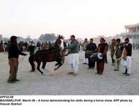 Filename=APP32-08Bahawlpur.jpg
Filesize=142KiB
Dimensions=1200x916
Date added=Mar 08, 2019 APP32-08Bahawlpur.jpg