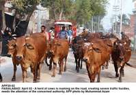 Filename=APP35-02Faisalabad.jpg
Filesize=201KiB
Dimensions=1000x704
Date added=Apr 02, 2018 APP35-02Faisalabad.jpg