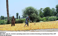 Filename=APP35-10Multan~3.jpg
Filesize=335KiB
Dimensions=1200x757
Date added=Jun 10, 2020 APP35-10Multan~3.jpg