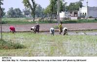 Filename=APP35-14Multan~3.jpg
Filesize=239KiB
Dimensions=1200x782
Date added=May 14, 2020 APP35-14Multan~3.jpg