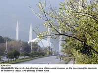 Filename=APP36-01Islamabad~0.jpg
Filesize=250KiB
Dimensions=1200x905
Date added=Mar 01, 2020 APP36-01Islamabad~0.jpg