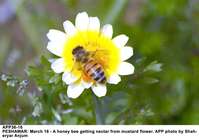 Filename=APP36-16Peshawar~1.jpg
Filesize=117KiB
Dimensions=1200x844
Date added=Mar 16, 2020 APP36-16Peshawar~1.jpg
