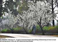 Filename=APP37-27Islamabad~3.jpg
Filesize=517KiB
Dimensions=1200x869
Date added=Feb 27, 2020 APP37-27Islamabad~3.jpg