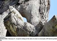 Filename=APP38-27Rawalpindi~2.jpg
Filesize=197KiB
Dimensions=1200x876
Date added=Feb 27, 2020 APP38-27Rawalpindi~2.jpg