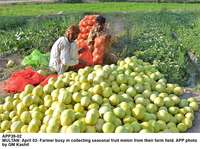 Filename=APP39-02Multan.jpg
Filesize=241KiB
Dimensions=1000x746
Date added=Apr 02, 2018 APP39-02Multan.jpg