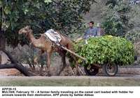 Filename=APP39-15Multan~3.jpg
Filesize=296KiB
Dimensions=1200x848
Date added=Feb 15, 2020 APP39-15Multan~3.jpg