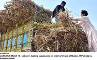 Filename=APP40-10Larkana.jpg
Filesize=273KiB
Dimensions=1200x746
Date added=Mar 10, 2020 APP40-10Larkana.jpg