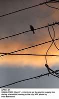 Filename=APP41-07Rawalpindi.jpg
Filesize=90KiB
Dimensions=797x1343
Date added=May 07, 2020 APP41-07Rawalpindi.jpg