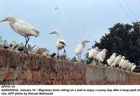 Filename=APP41-14Sargodha.jpg
Filesize=165KiB
Dimensions=1200x826
Date added=Jan 14, 2020 APP41-14Sargodha.jpg