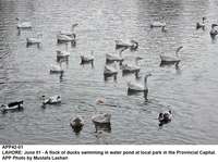 Filename=APP42-01Lahore.jpg
Filesize=284KiB
Dimensions=1200x896
Date added=Jun 01, 2020 APP42-01Lahore.jpg