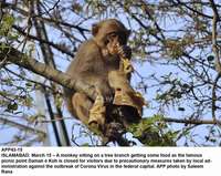 Filename=APP43-15Islamabad~0.jpg
Filesize=269KiB
Dimensions=1200x956
Date added=Mar 15, 2020 APP43-15Islamabad~0.jpg