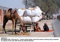 Filename=APP43-21Bahawalpur.jpg
Filesize=229KiB
Dimensions=1200x848
Date added=Feb 21, 2020 APP43-21Bahawalpur.jpg