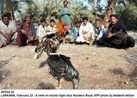 Filename=APP44-22Larkana.jpg
Filesize=334KiB
Dimensions=1200x864
Date added=Feb 22, 2019 APP44-22Larkana.jpg