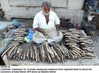 Filename=APP45-18Larkana.jpg
Filesize=236KiB
Dimensions=1200x890
Date added=Sep 18, 2019 APP45-18Larkana.jpg