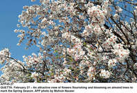 Filename=APP45-27Quetta.jpg
Filesize=427KiB
Dimensions=1200x821
Date added=Feb 27, 2020 APP45-27Quetta.jpg