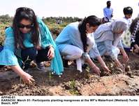 Filename=APP46-01Karachi~0.jpg
Filesize=285KiB
Dimensions=1200x921
Date added=Mar 01, 2020 APP46-01Karachi~0.jpg