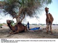 Filename=APP46-16Hyderabad.jpg
Filesize=278KiB
Dimensions=1000x746
Date added=Apr 17, 2018 APP46-16Hyderabad.jpg